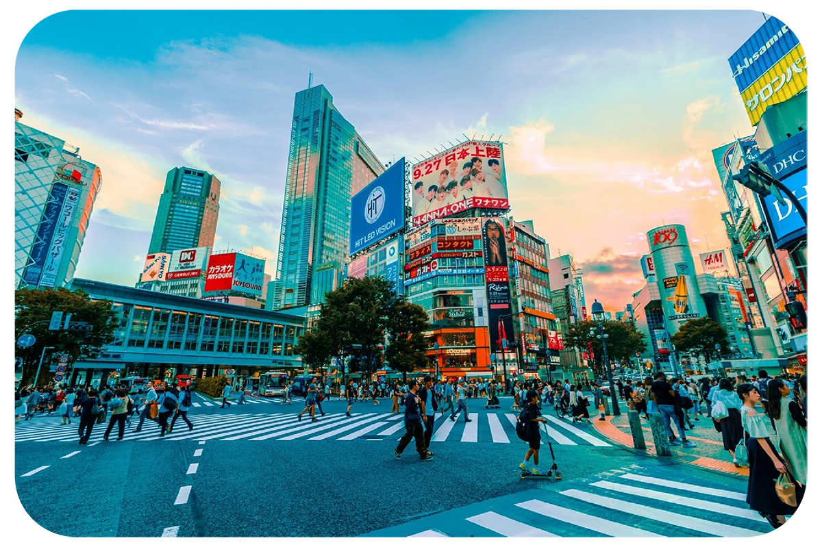 Safety & Quality of Life