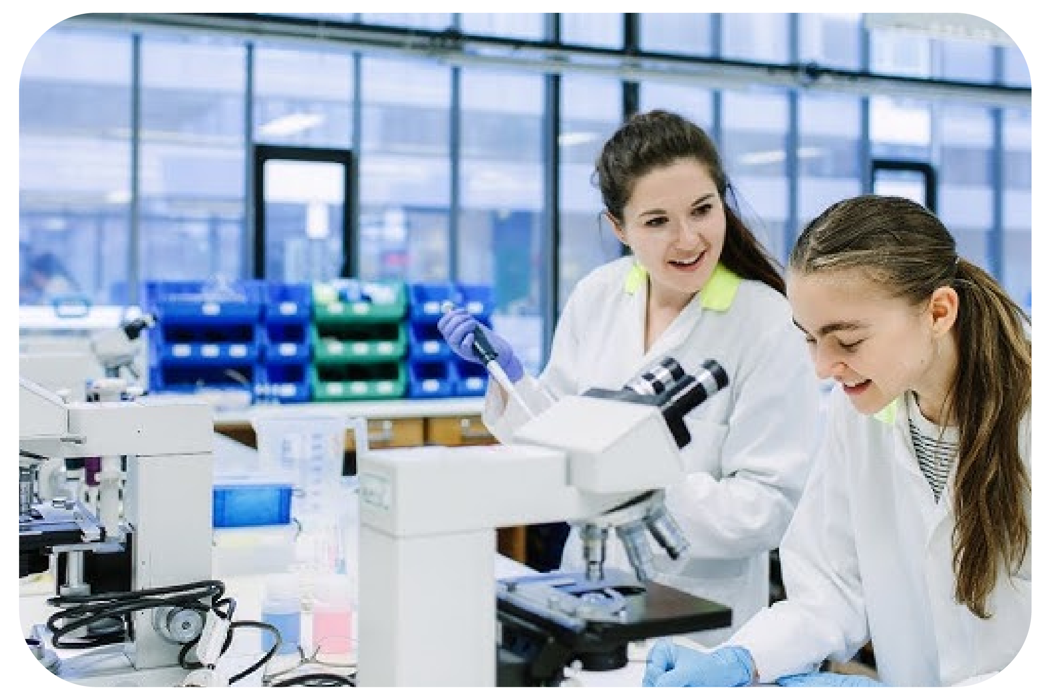 Research & Innovation 