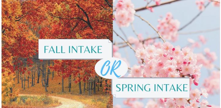 Which intake is better for Korea?